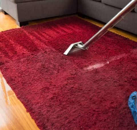 Carpet Cleaning - Newprocess